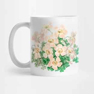 Vintage Piotta's oxalis flower branch Mug